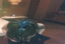 台灣吃魚第一次下海6