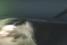 台灣吃魚第一次下海1