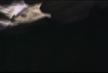 宇都宮さぽーと白書（宇都宮援交)