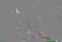 立花里子フードル sak8448