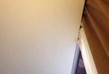 援交美女大學生，非常認真在含屌