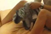 全智贤出道前拍的三级片