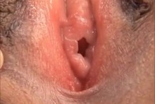 百科秘典②これだけの動画