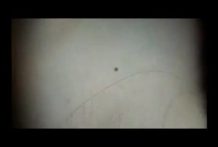 【個人撮影】１３